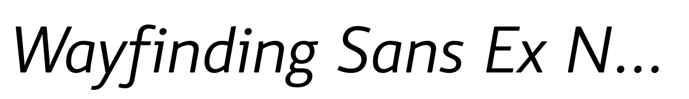 Wayfinding Sans Ex N Italic